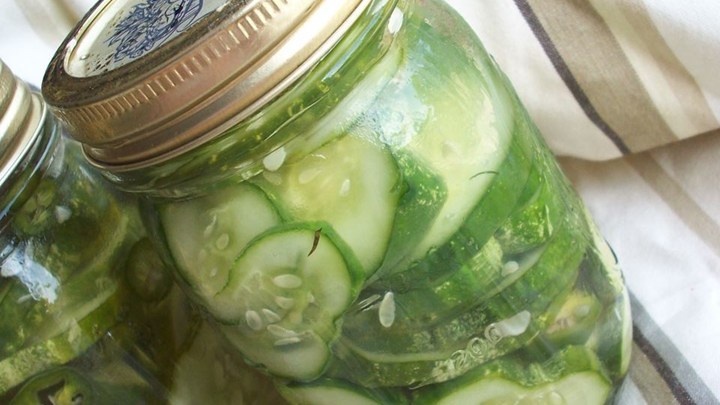 Homemade Refrigerator Pickles
