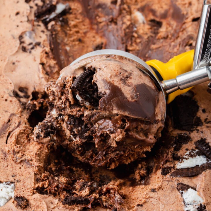 Mississippi Mud Ice Cream
